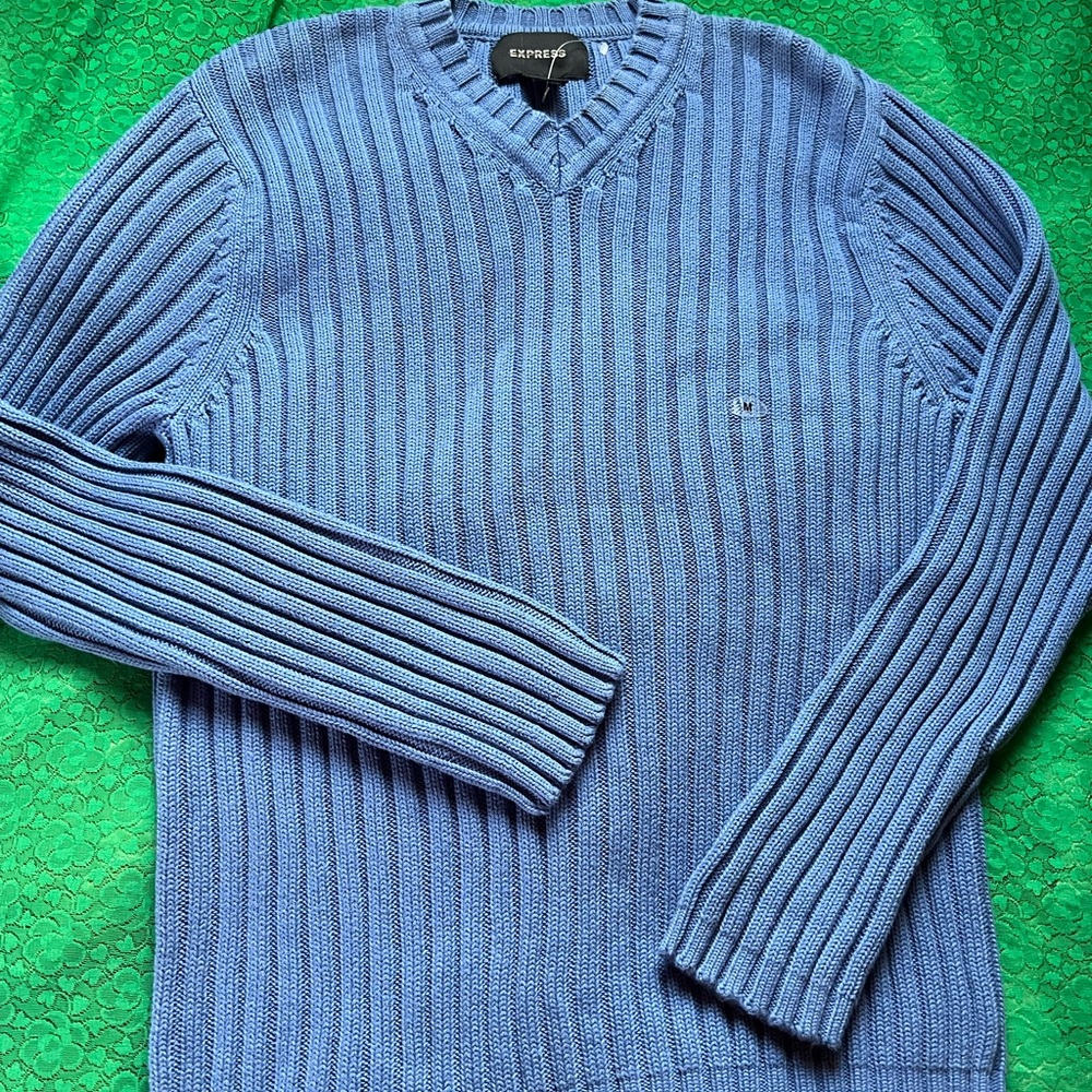 Express  Sweater in Blue